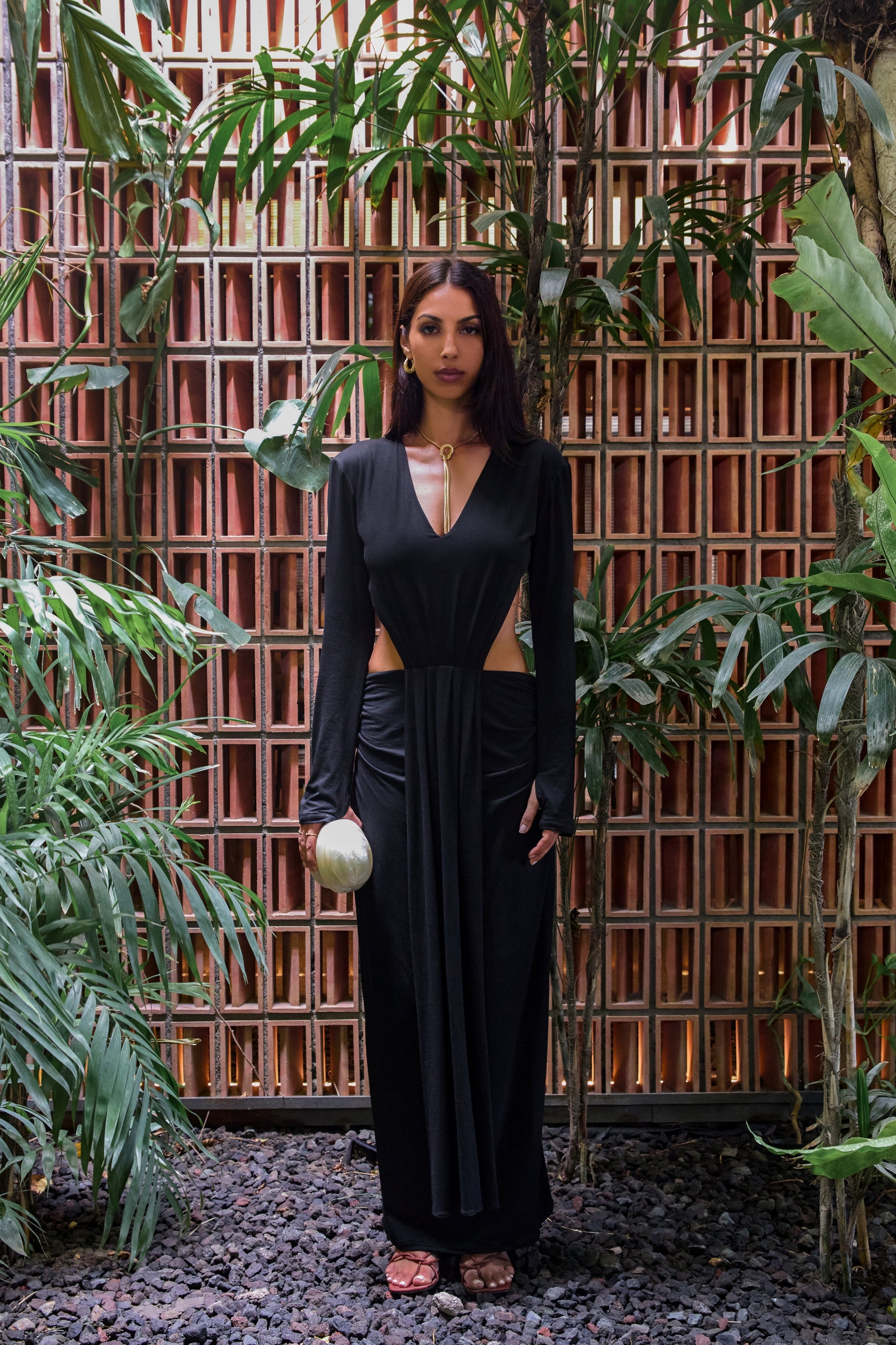 Plunge V Neck Backless long sleeve dress – Cypris Store