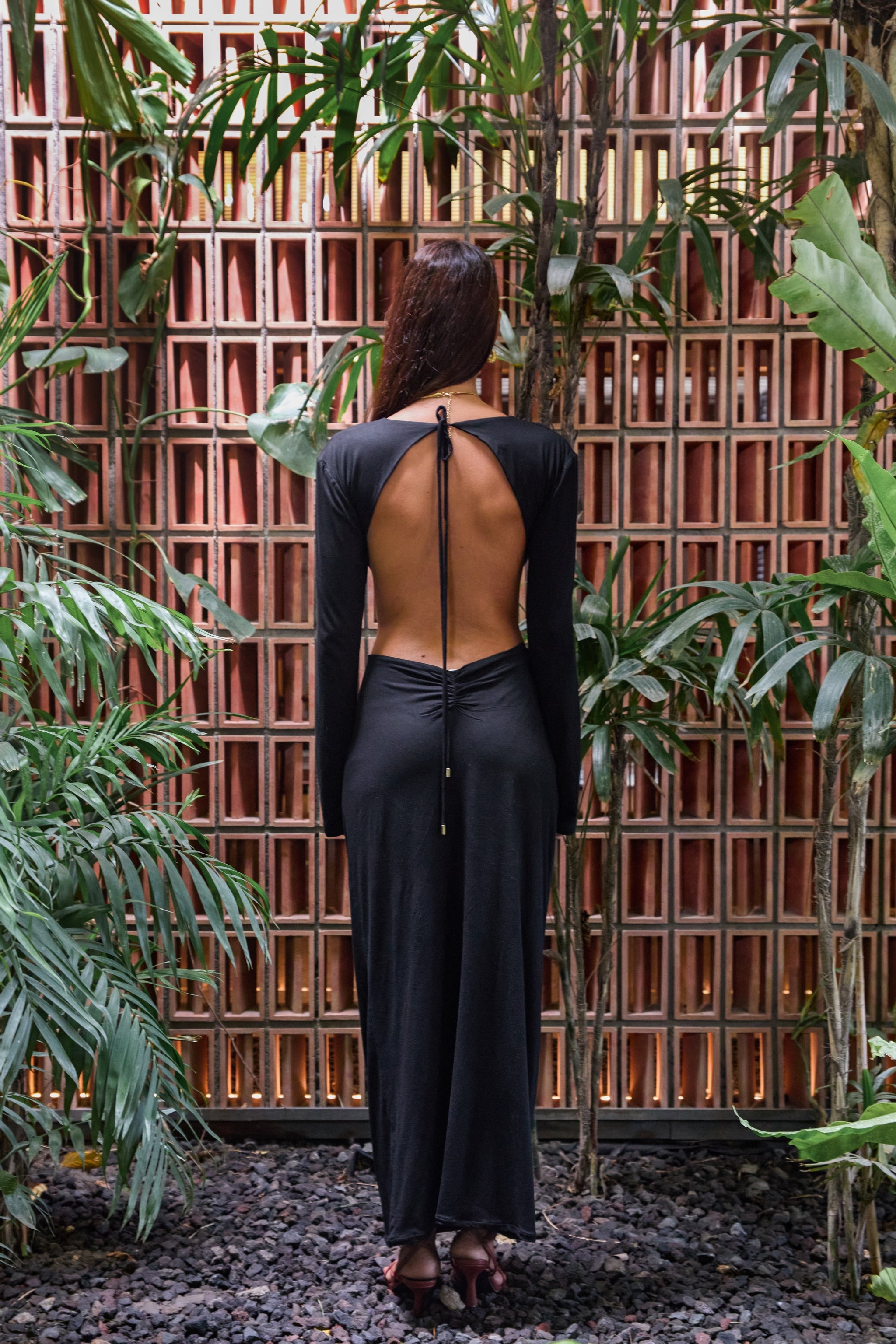 Plunge V Neck Backless long sleeve dress Cypris Store Plunge V Neck Backless long sleeve dress Cypris Store